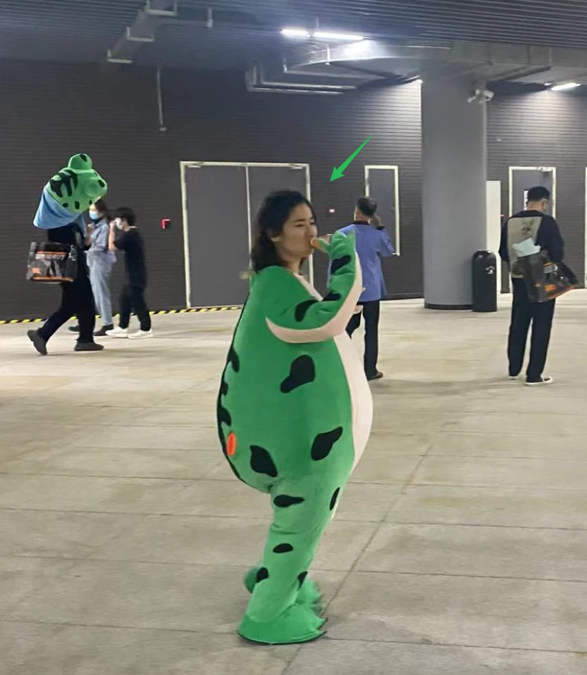 Noah wearing a frog costume at a team gathering